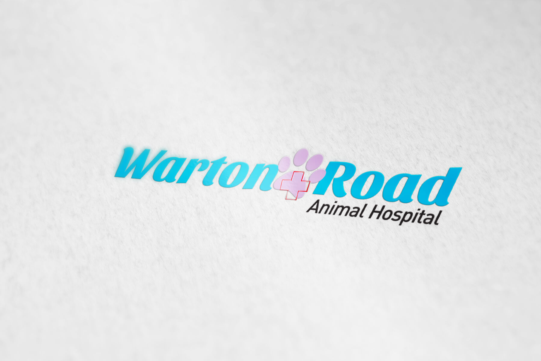 Warton Road Vet Animal Hospital - Designs by CR8VE designs Perth